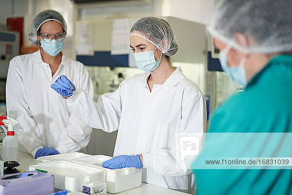 Wissenschaftlerinnen mit Gesichtsmasken und Arbeitsschutzkleidung im Labor