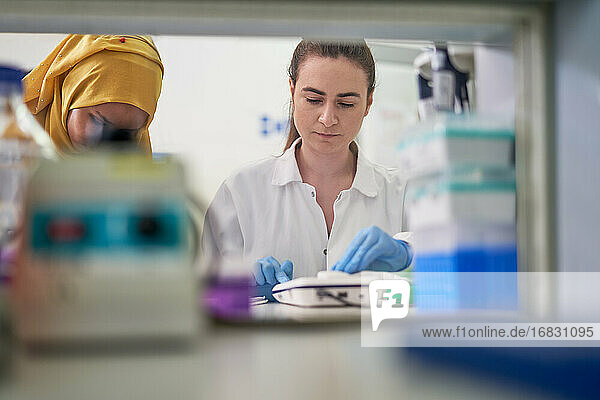Wissenschaftlerinnen arbeiten im Labor