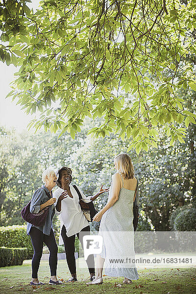Glückliche ältere Frauen Freunde lachen im Sommer Garten