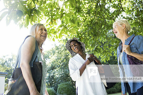 Glückliche ältere Frauen Freunde lachend unter sonnigen Baum