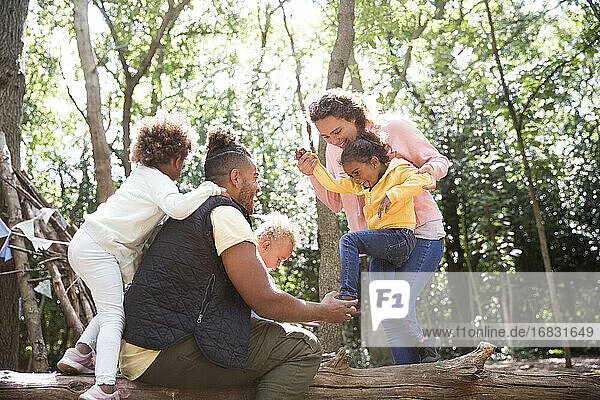 Glückliche Familie spielen auf gefallenen Stamm im Sommer Wald
