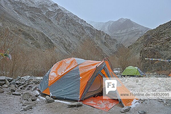 Höhen-Trekkinglager im Hemis-Nationalpark  Ladakh  Indien  Asien