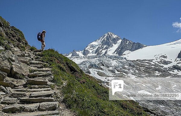 Bergsteigerin  Wanderin auf dem Weg zum Refuge Albert 1er  Glacier du Tour  Gletscher und Berggipfel  Hochalpine Landschaft  Gipfel des Aiguille de Chardonnet  Chamonix  Haute-Savoie  Frankreich  Europa