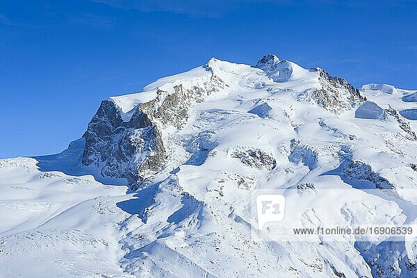 Monte Rosa  4633 m  Dufourspitze -4634m  Wallis  Schweiz  Europa