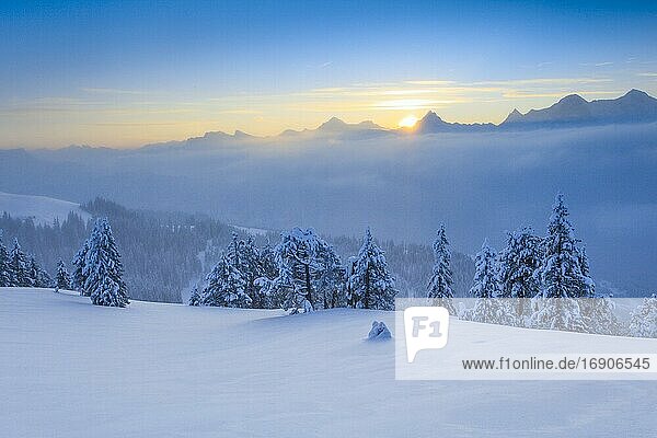 Berner Alpen  Aussicht vom Niederhorn  Schweiz  Europa