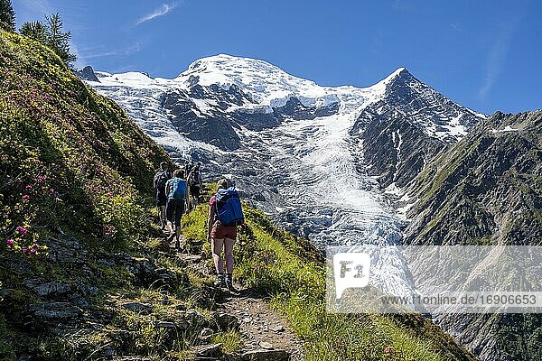 Wanderer auf Wanderweg  Berglandschaft  Ausblick auf Gletscher Glacier de Taconnaz  Wanderung La Jonction  Chamonix  Haute-Savoie  Frankreich  Europa