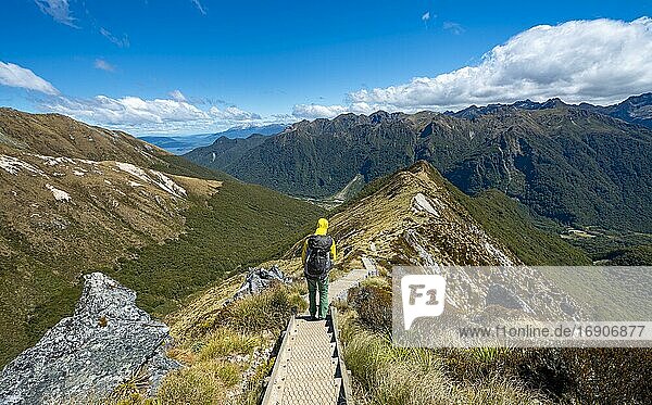 Hikers on hiking trail  views of Kepler Mountains  on the hiking trail Kepler Track  Great Walk  Fiordland National Park  Southland  New Zealand  Oceania