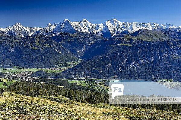 Schweizer Alpen  Aussicht v (m) Niederhorn  Eiger  3974 m  Mönch  4099 m  Jungfrau  4158m  Thunersee  Interlaken  Herbst  Berner Oberland  Bern  Schweiz  Europa