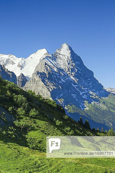 Eiger  Mönch  Schweiz  Europa