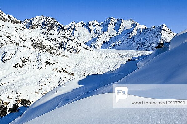 Wannenhörner und Aletsch Gletscher im Winter  Wallis  Schweiz  Europa