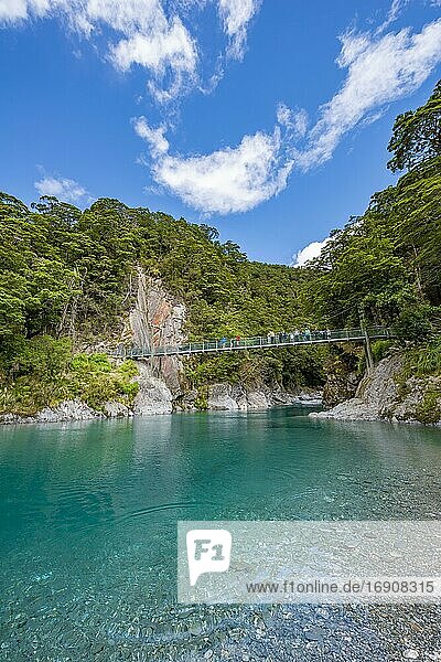 Brücke bei den Blue Pools Felsbecken  Makarora River  türkises kristallklares Wasser  Haast Pass  West Coast  Südinsel  Neuseeland  Ozeanien