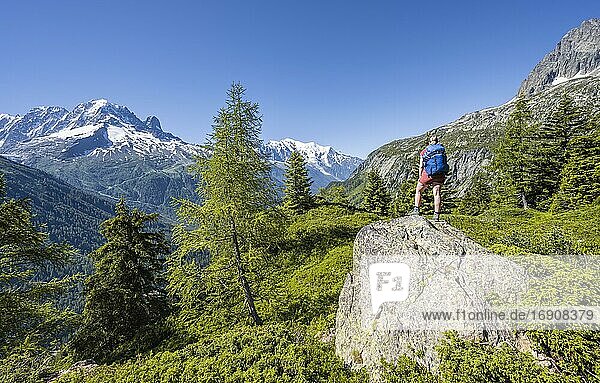 Wanderin Blickt auf Bergpanorama vom Aiguillette des Posettes  Gipfel Aiguille Verte  Aiguille du Midi und Mont Blanc  Chamonix  Haute-Savoie  Frankreich  Europa