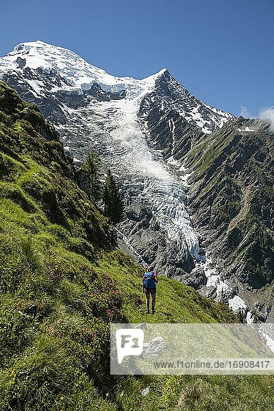 Hiker in front of glacier  hiking trail La Jonction  glacier Glacier de Taconnaz  summit of Mont Blanc and Aiguille de Bionnassay  right Mont Blanc  Chamonix  Haute-Savoie  France  Europe