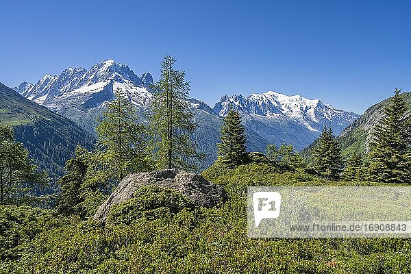 Bergpanorama vom Aiguillette des Posettes  Gipfel Aiguille Verte  Aiguille du Midi und Mont Blanc  Chamonix  Haute-Savoie  Frankreich  Europa