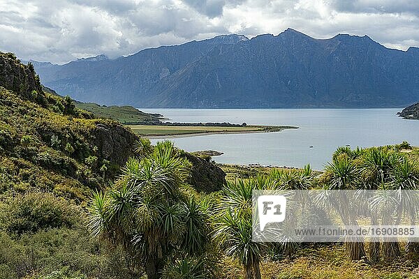 View of mountains and Lake Hawea with palm trees  The Neck  Otago  South Island  New Zealand  Oceania