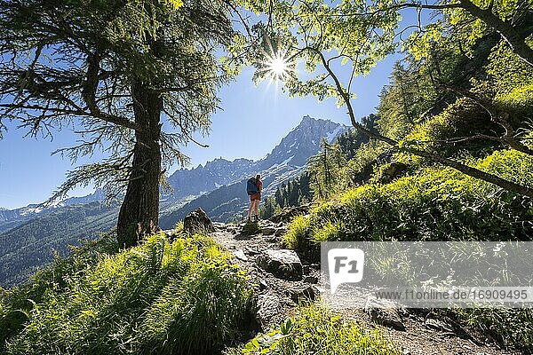 Hiker on trail through the forest to La Jonction  in the back summit of the Aiguille du Midi  Chamonix  Haute-Savoie  France  Europe