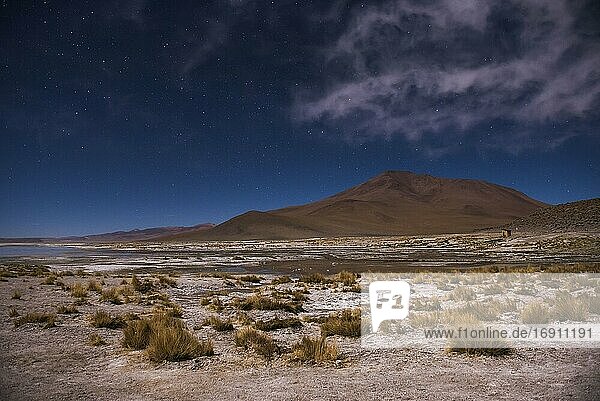 Sterne über den nächtlichen Salinen von Chalviri (auch bekannt als Salar de Chalviri)  Altiplano von Bolivien im Eduardo Avaroa National Reserve of Andean Fauna