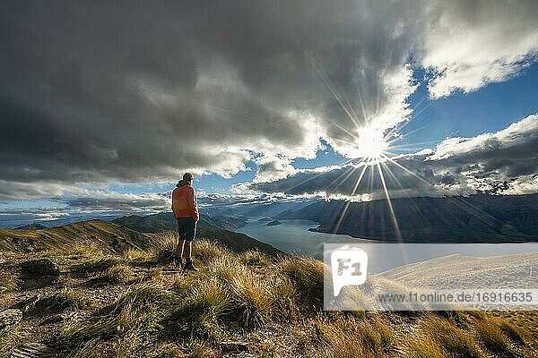 Hiker looks into the distance  view of Lake Wanaka in sunshine  lake and mountain scenery  view from Isthmus Peak  Wanaka  Otago  South Island  New Zealand  Oceania