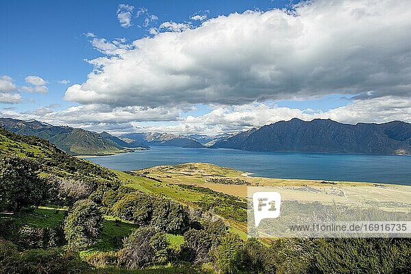 View of Lake Hawea  lake and mountain landscape  view from the hiking trail to Isthmus Peak  Wanaka  Otago  South Island  New Zealand  Oceania