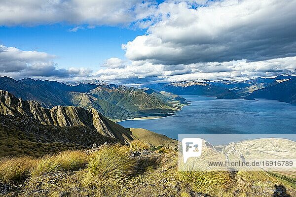 View of Lake Hawea  lake and mountain landscape  view from Isthmus Peak  Otago  South Island  New Zealand  Oceania