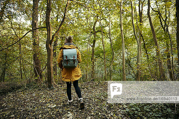 Frau zu Fuß durch Herbst Wald