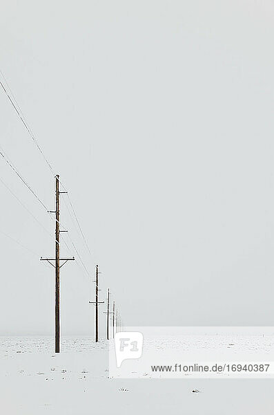 Stromleitungen in verschneiter winterlicher Landschaft mit grauem Himmel.