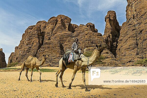 Boy riding on camel  Ouinimia Amphitheater  Ennedi Plateau  Tschad