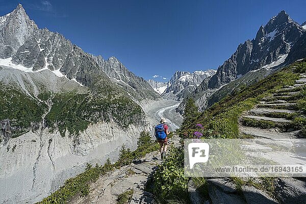 Mountaineer on hiking trail  Grand Balcon Nord  glacier tongue Mer de Glace  behind Grandes Jorasses  Mont Blanc massif  Chamonix  France  Europe