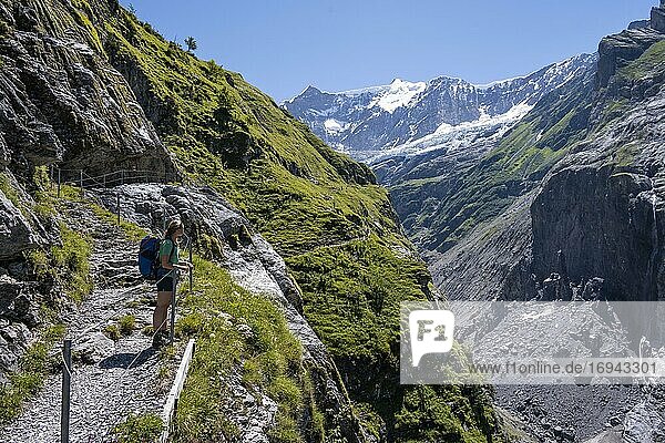 Junge Frau auf Wanderweg von Grindelwald zur Schreckhornhütte  Gletscher Grindelwald-Fieschergletscher und Gipfel des Walcherhorn  Berner Oberland  Schweiz  Europa