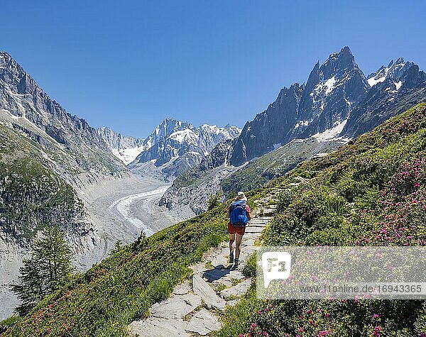 Bergsteigerin auf Wanderweg  Grand Balcon Nord  Gletscherzunge Mer de Glace  hinten Grandes Jorasses  Mont-Blanc-Massiv  Chamonix  Frankreich  Europa