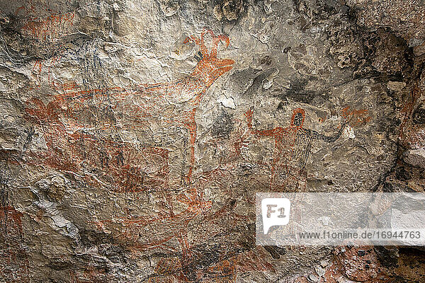 Felsmalereien des Cochimi-Volkes  Cueva del Raton  UNESCO-Weltkulturerbe  Sierra de San Francisco  Baja California Sur  Mexiko  Nordamerika