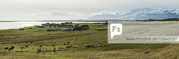 Hali  ein kleines Dorf 13 km von Jokulsarlon entfernt  mit dem Vatnajokull-Gletscher im Hintergrund  Island