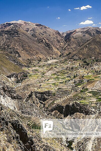 Colca Canyon farmland and terraces  Peru