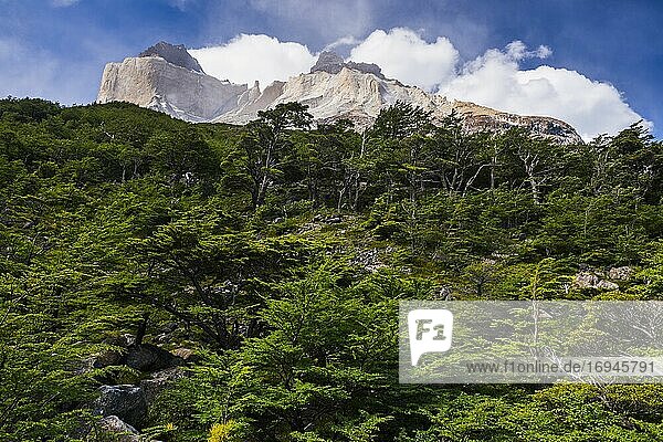 Los Cuernos mountains  Torres del Paine National Park (Parque Nacional Torres del Paine)  Patagonia  Chile