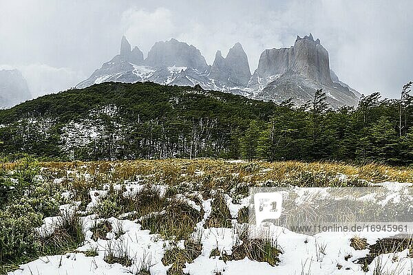 Los Cuernos seen from French Valley (Valle del Frances)  Torres del Paine National Park  Patagonia  Chile
