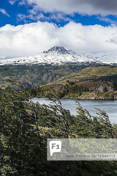 Lake Grey (Lago Grey)  Torres del Paine National Park  Patagonia  Chile