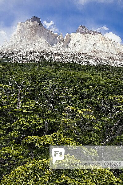Los Cuernos mountains  Torres del Paine National Park (Parque Nacional Torres del Paine)  Patagonia  Chile