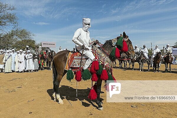 Colourful horse rider at a Tribal festival  Sahel  Chad  Africa