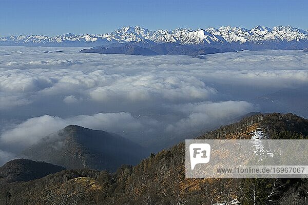 Verschneite Bergkette mit Monte Rosa Massiv erhebt sich über Wolkenmeer  Ausblick von Monte Lema  Luino  Lombardei  Italien  Schweiz  Europa
