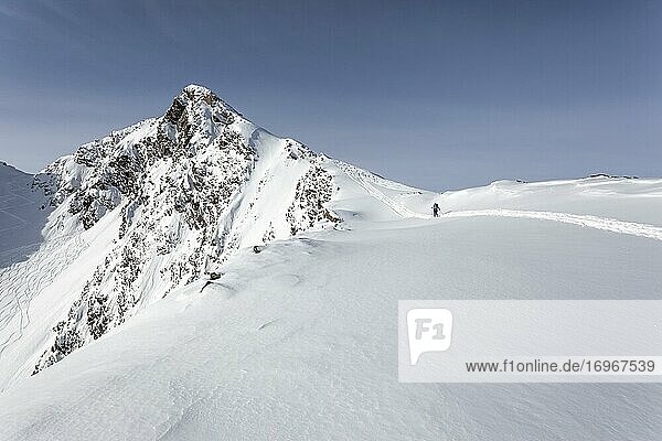Ski tourer with ascent track  Zischgeles  Stubai Alps  Tyrol  Austria  Europe