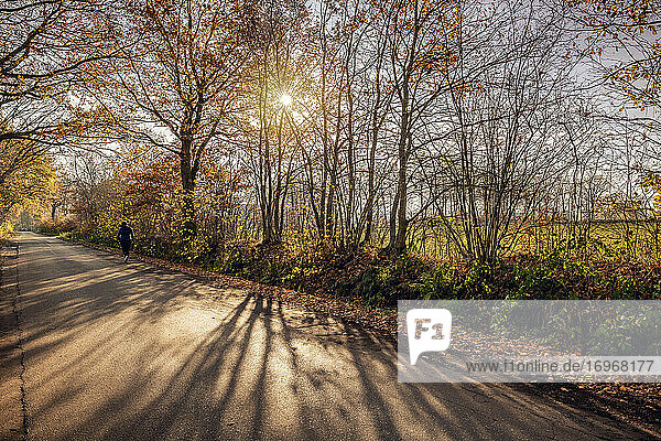 Sonniger Novembertag in ländlicher Gegend  eine Frau joggt eine Straße entlang  die Sonne im Gegenlicht