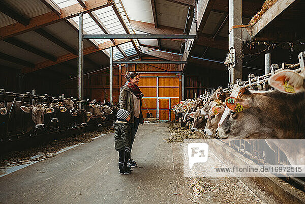 Mutter und Sohn im Stall voller Kühe im Winter