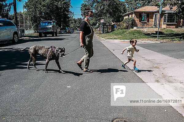 Mother and young son crossing the street with dog on a sunny day