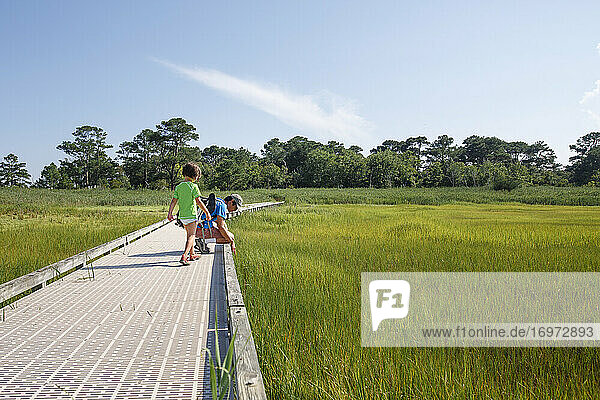 Ein Vater und sein Kind erkunden gemeinsam die Uferpromenade im grasbewachsenen Sumpf