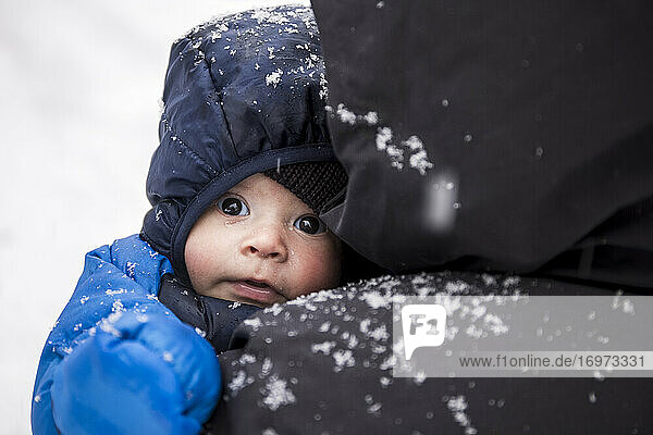 Adorable baby in warm clothes in hands of anonymous parent during winter stroll in snowy weather