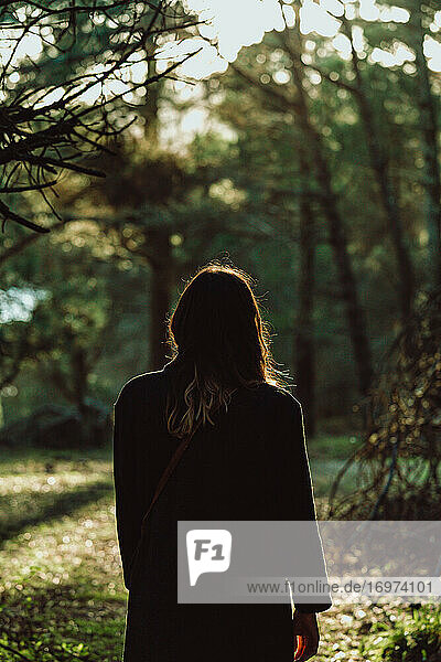 Porträt der Rückansicht einer jungen Frau im Gegenlicht  die mitten im Wald spazieren geht