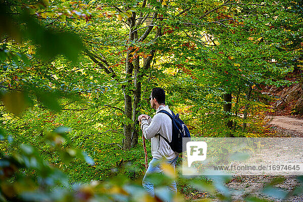Rückansicht einer Rucksacktouristin beim Wandern im grünen Wald