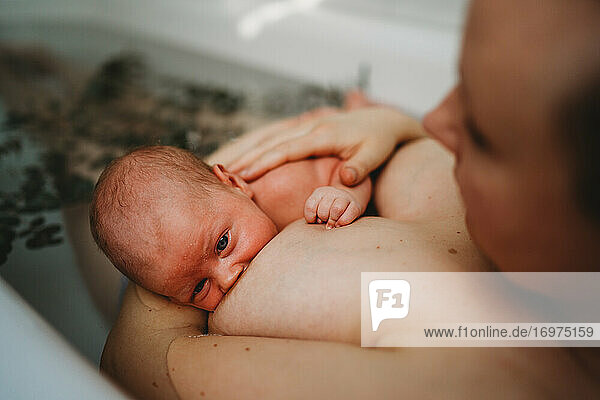 Neugeborenes Baby wird in der Badewanne gestillt  während die Mutter seinen Rücken berührt