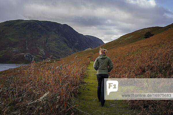 Woman walking on path surrounding by ferns in autumn  in the Lak