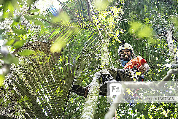 Man tree climbing on canopy top in green rainforest landscape